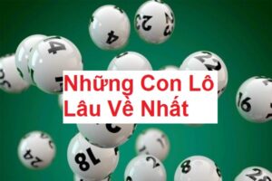 nhung-con-lo-lau-ve-nhat-1